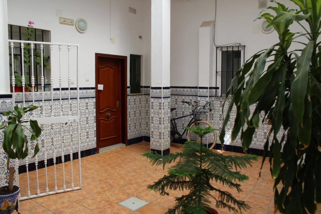 Cdz - Casa De Los Viajeros Pasquin Cádiz Eksteriør bilde